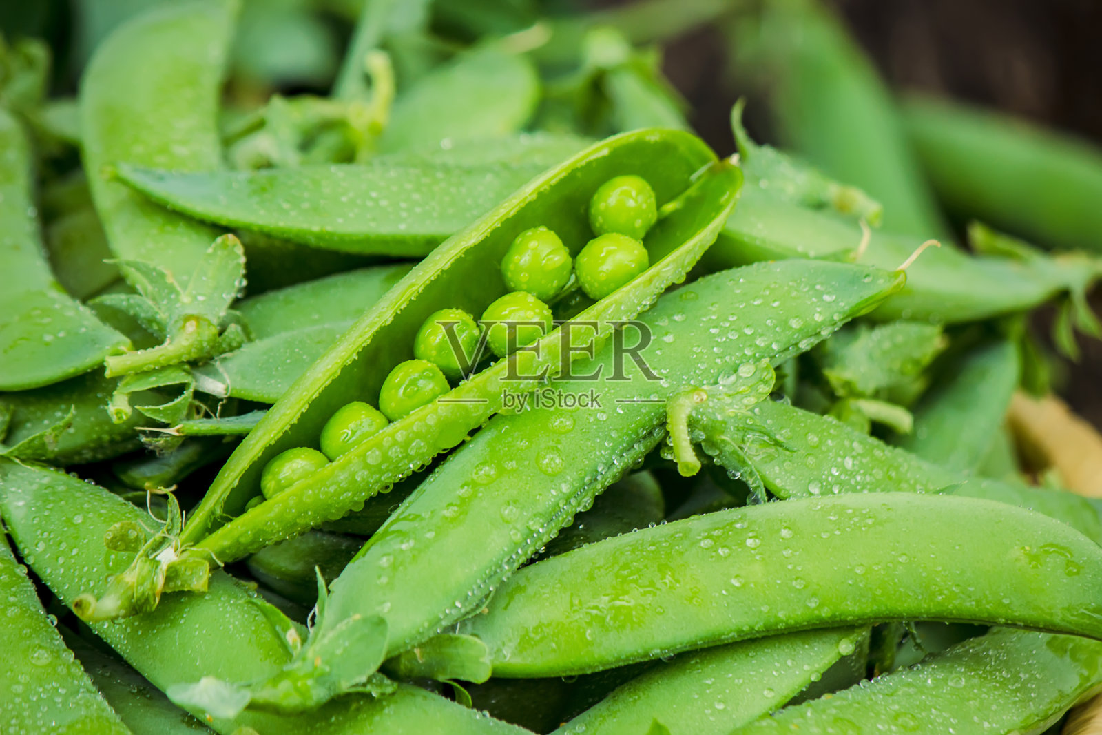 绿色豌豆。有选择性的重点。食品和饮料。照片摄影图片