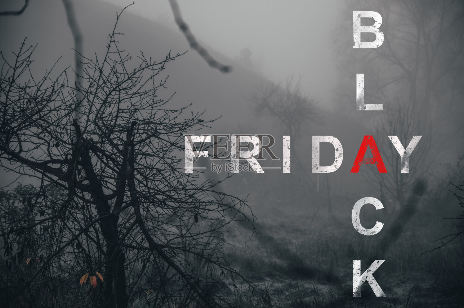 图片与文本黑色星期五。出色的广告解决方案销售照片摄影图片