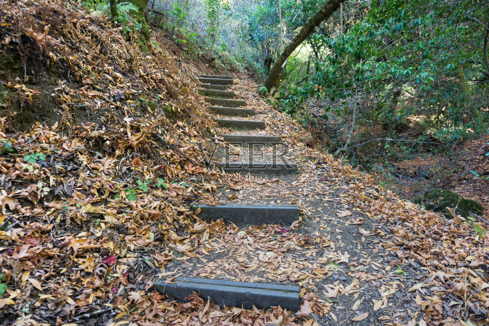 旧金山海湾地区的徒步旅行路线照片摄影图片