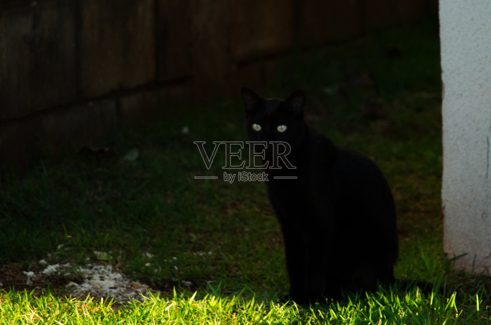 附件照片摄影图片