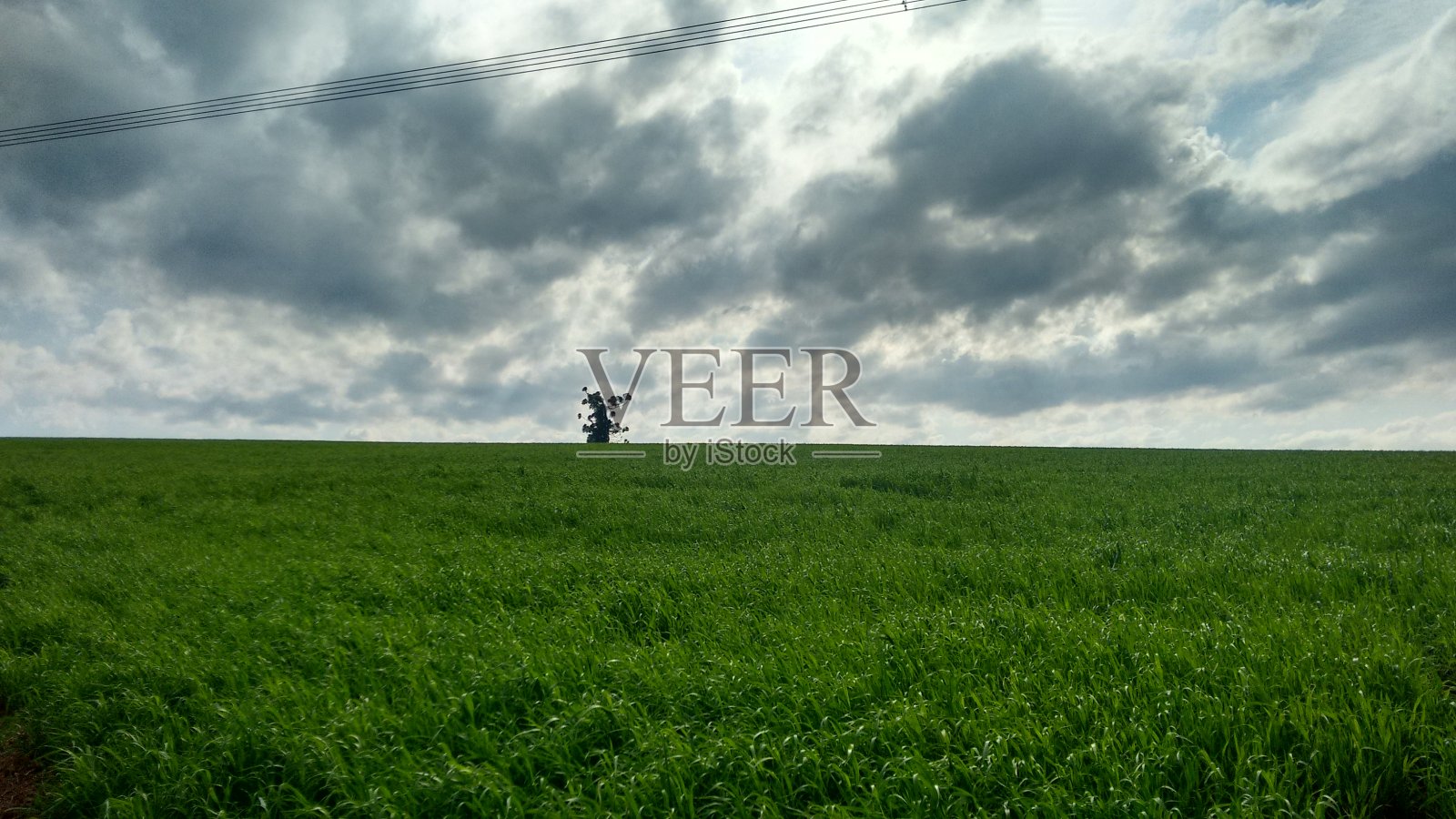 自然照片骑摩托车照片摄影图片