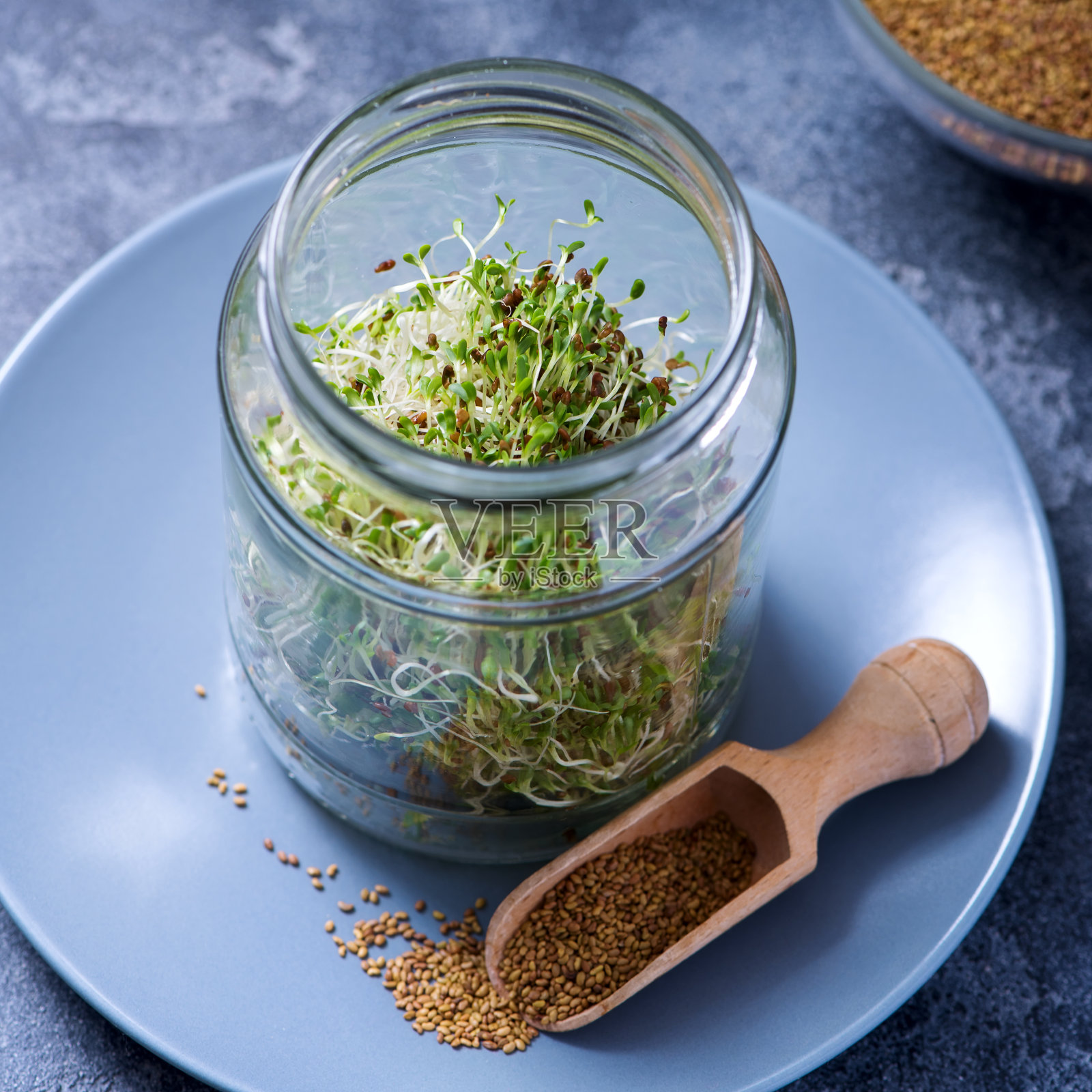 微绿色芽在一个玻璃杯，阿尔法阿尔法种子，维生素和能量饮食，素食生的健康食品照片摄影图片