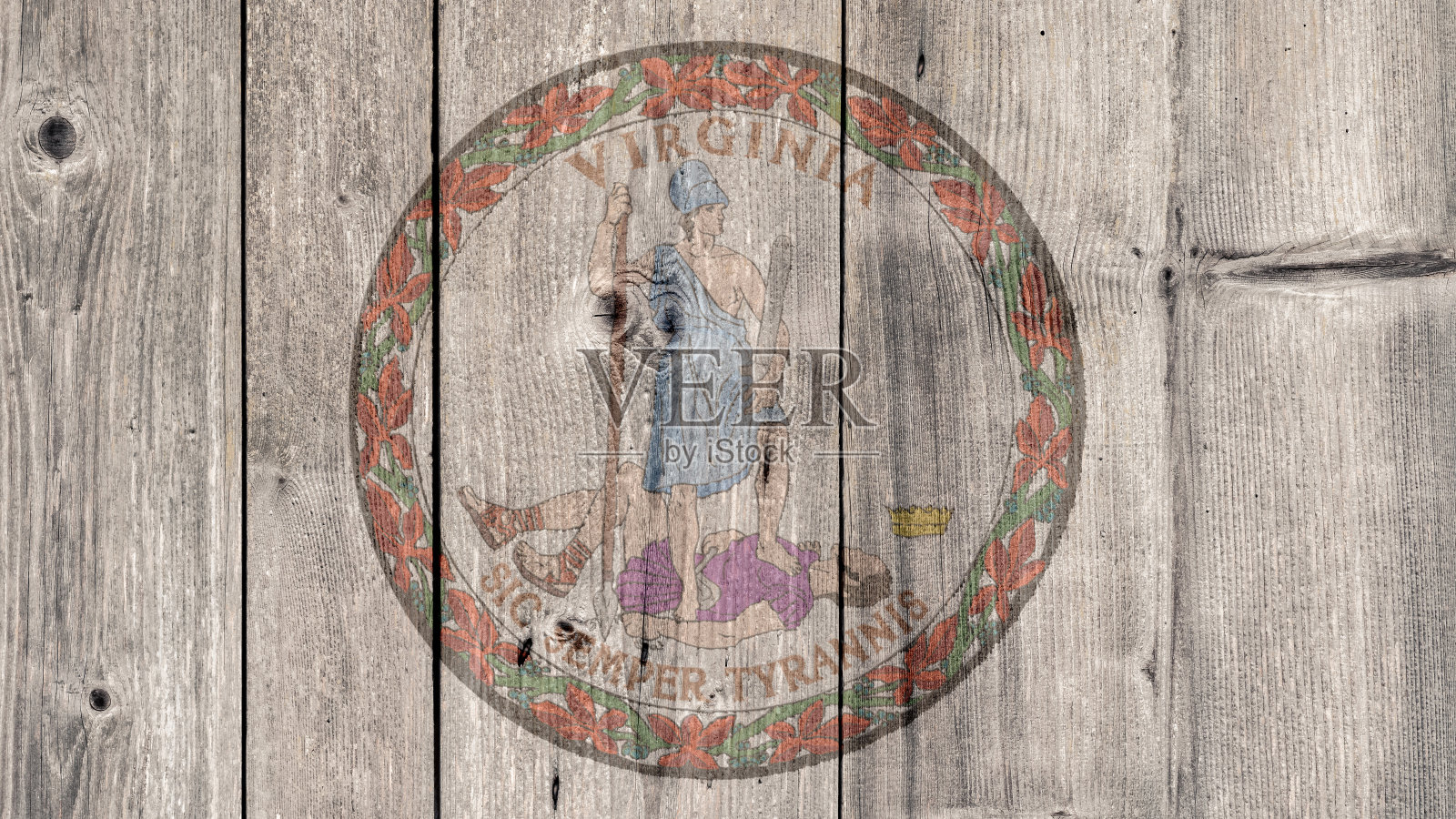 美国弗吉尼亚州海豹木栅栏照片摄影图片