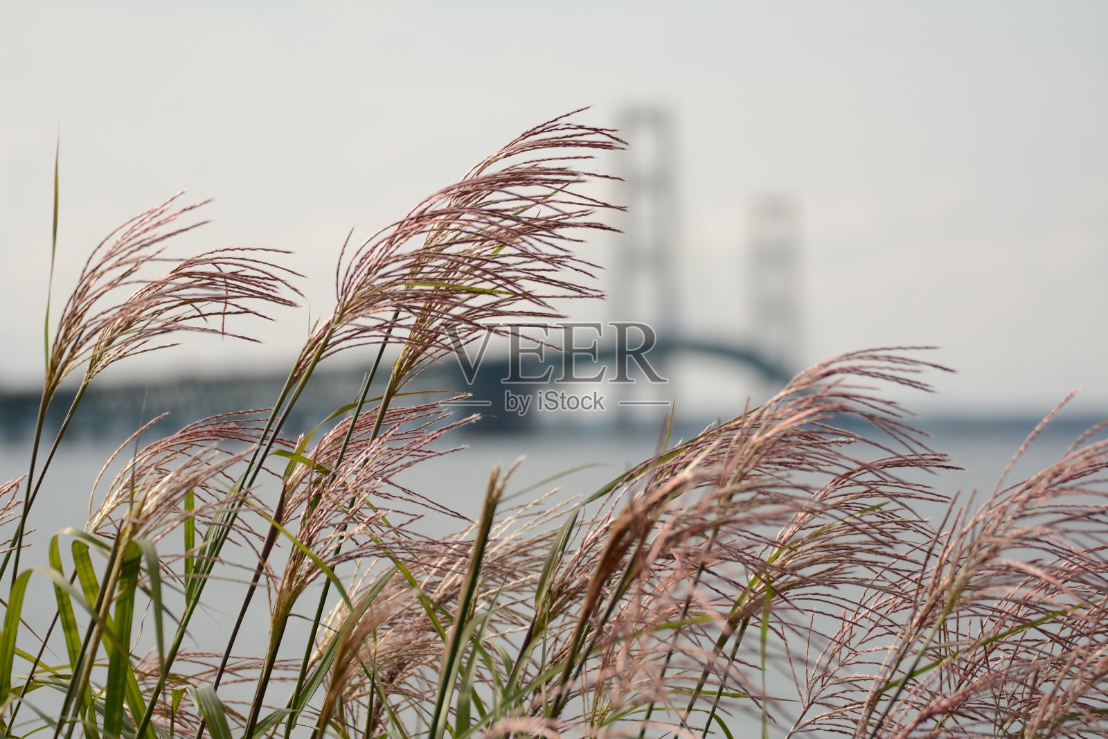 麦基诺岛地区的图片照片摄影图片