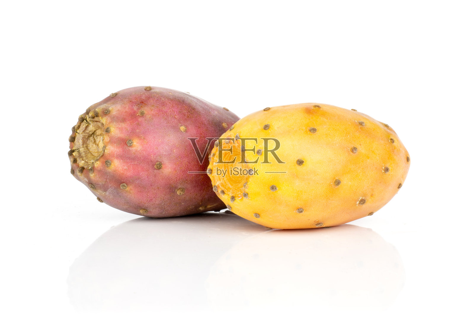 鲜亮的仙人掌梨，仙人掌孤立在白色照片摄影图片