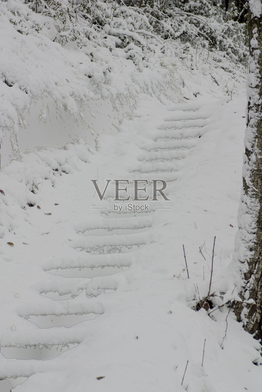 灰尘扰动、鳞片、划痕照片摄影图片