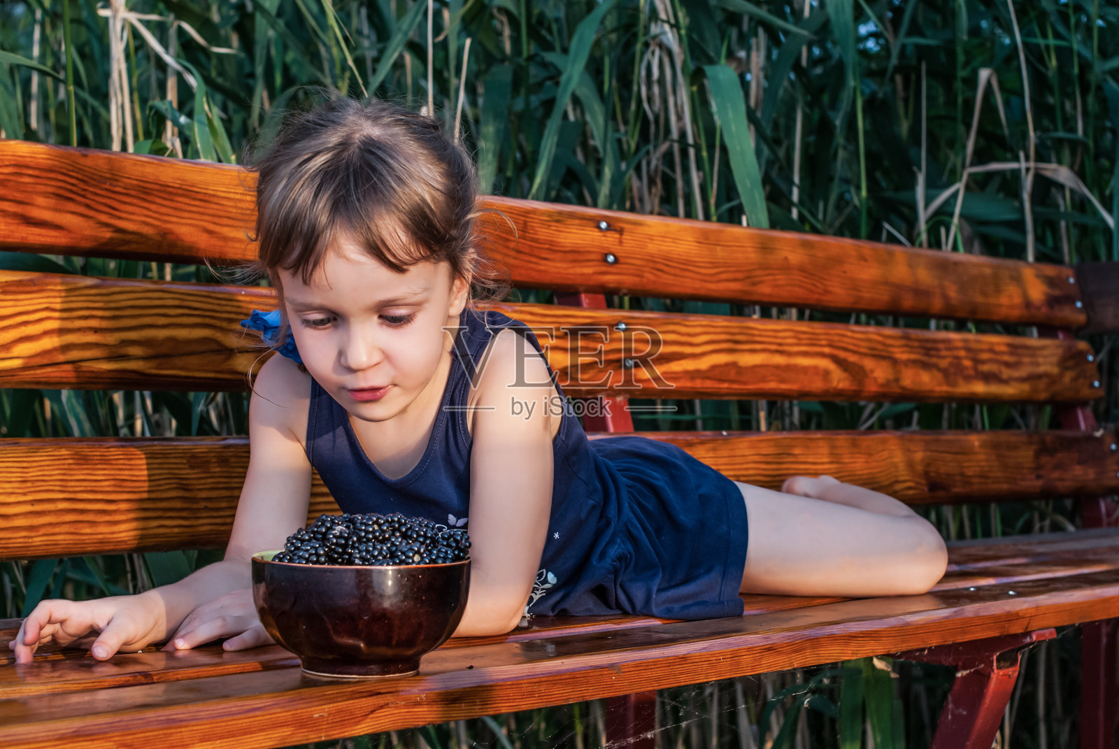 一个小女孩躺在草丛中的长凳上，看着装满浆果的碗。照片摄影图片