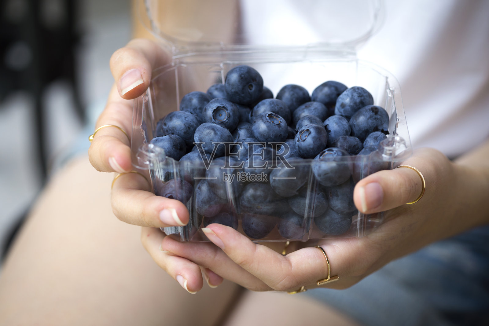 蓝莓，女人的手牵着泥沼照片摄影图片