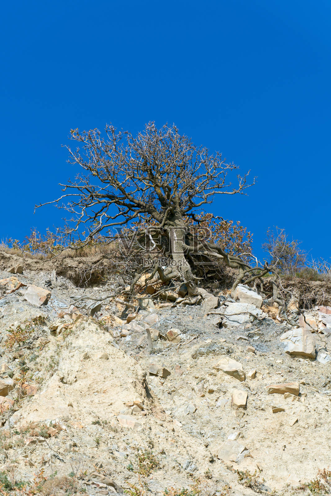 大海，岩石，天空照片摄影图片