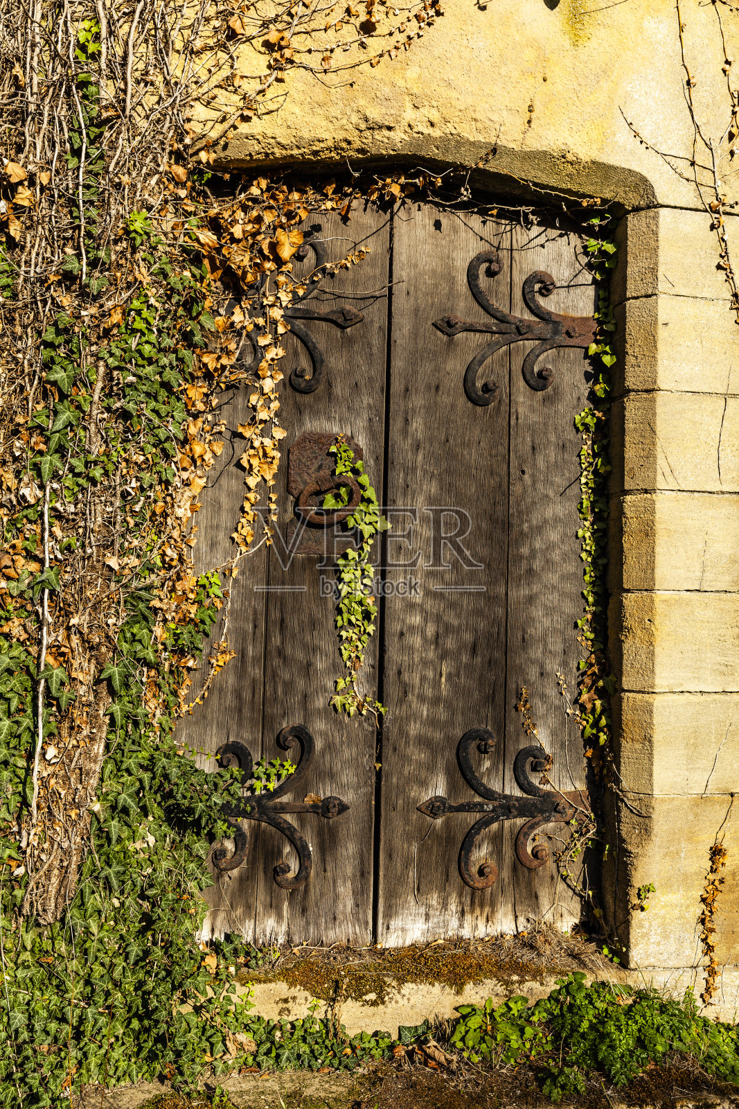 古老的木门照片摄影图片