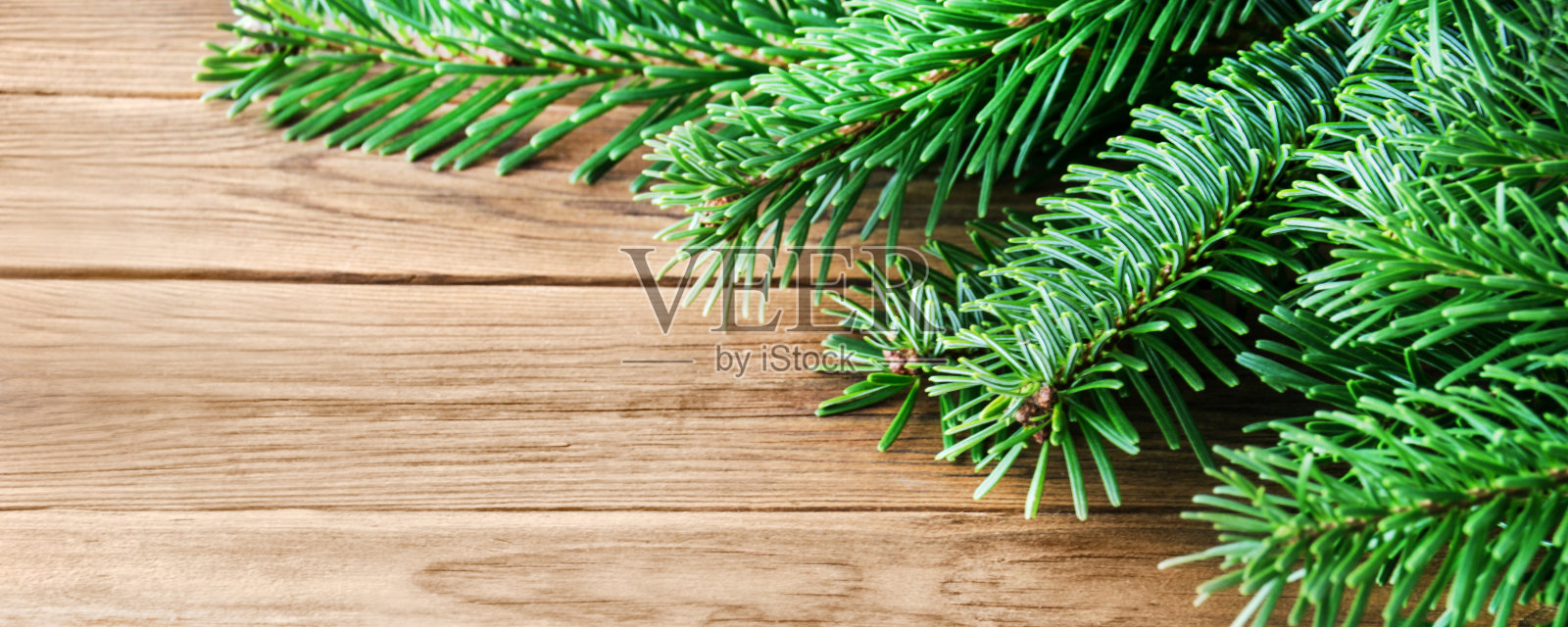 木背景下的冷杉枝照片摄影图片