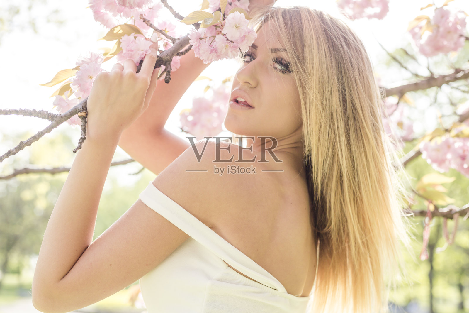 美丽的金发女人在白色的裙子摆姿势在樱花树在公园在阳光灿烂的一天照片摄影图片