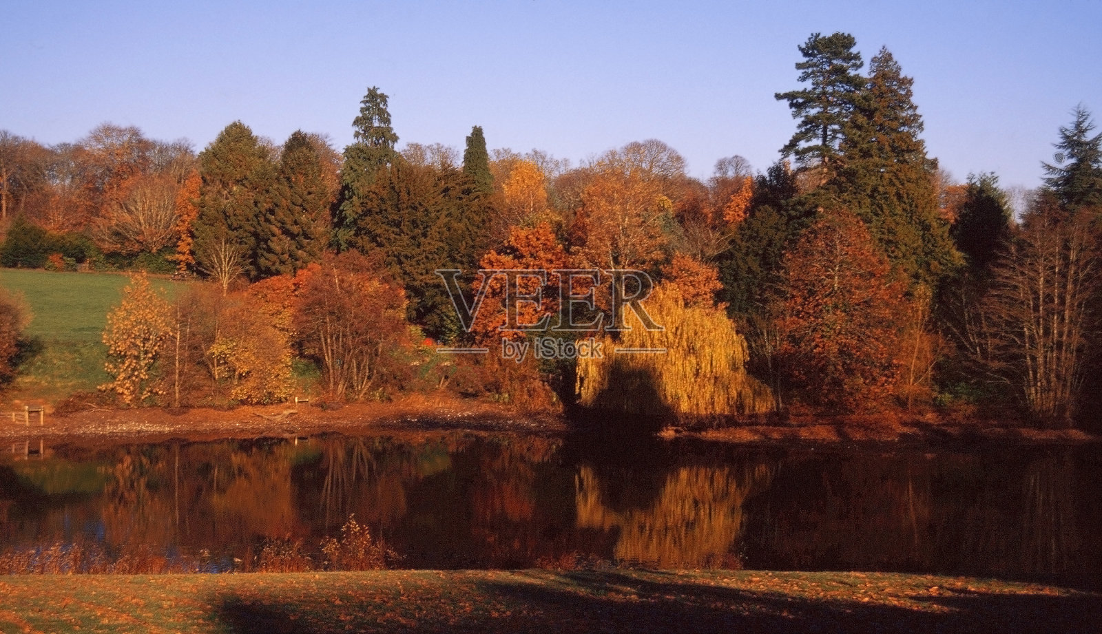 步道秋湖水河风景秋景金景拍摄照片摄影图片