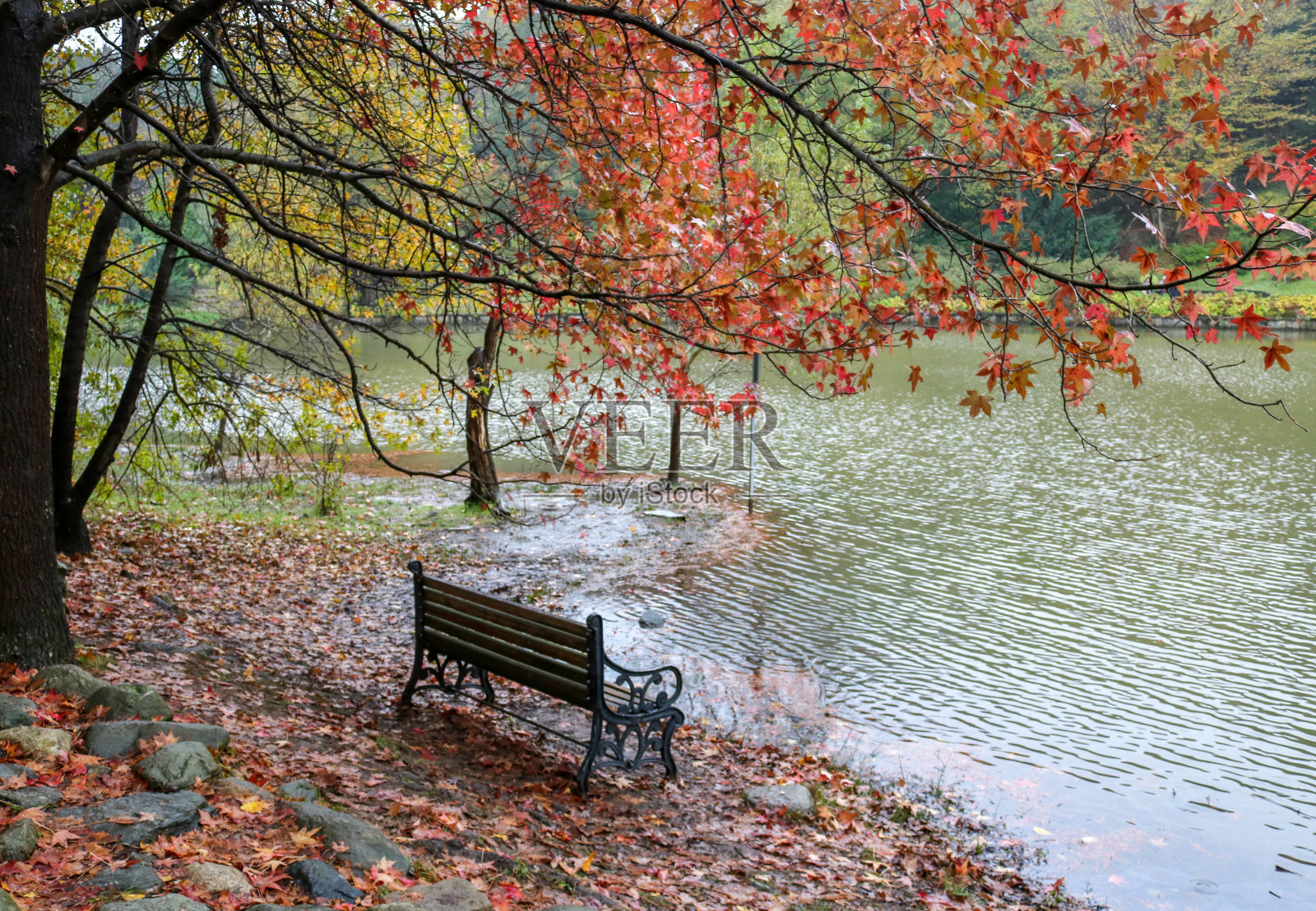 伊斯坦布尔，阿塔图尔克植物园里孤独的木制长凳。秋天的背景在温暖的色调照片摄影图片