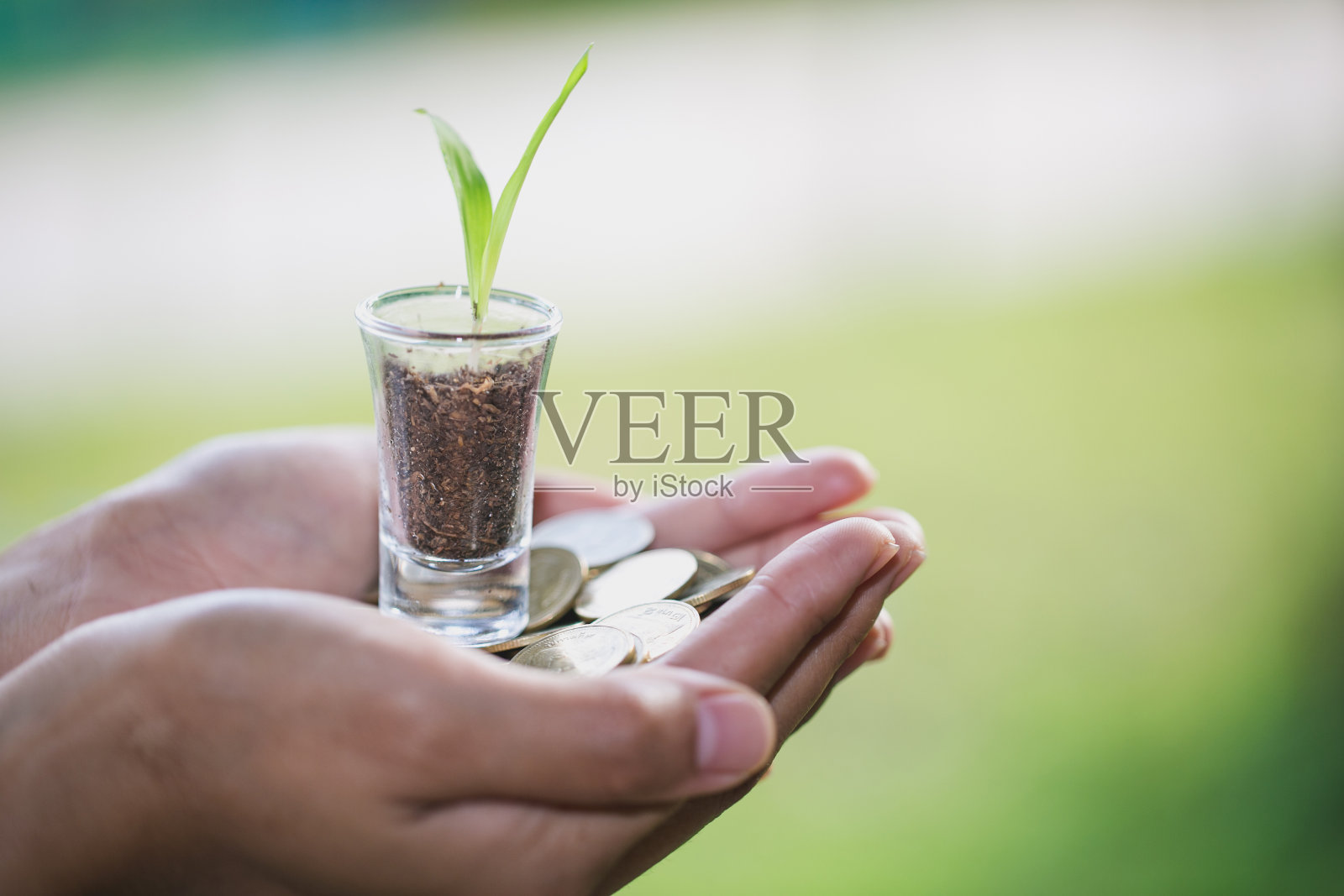 植物生长从钱(硬币)在一个男人手中的玻璃罐中，商业和金融的隐喻概念，照片摄影图片