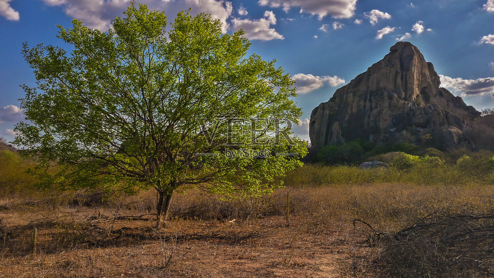 塞德罗水坝照片摄影图片