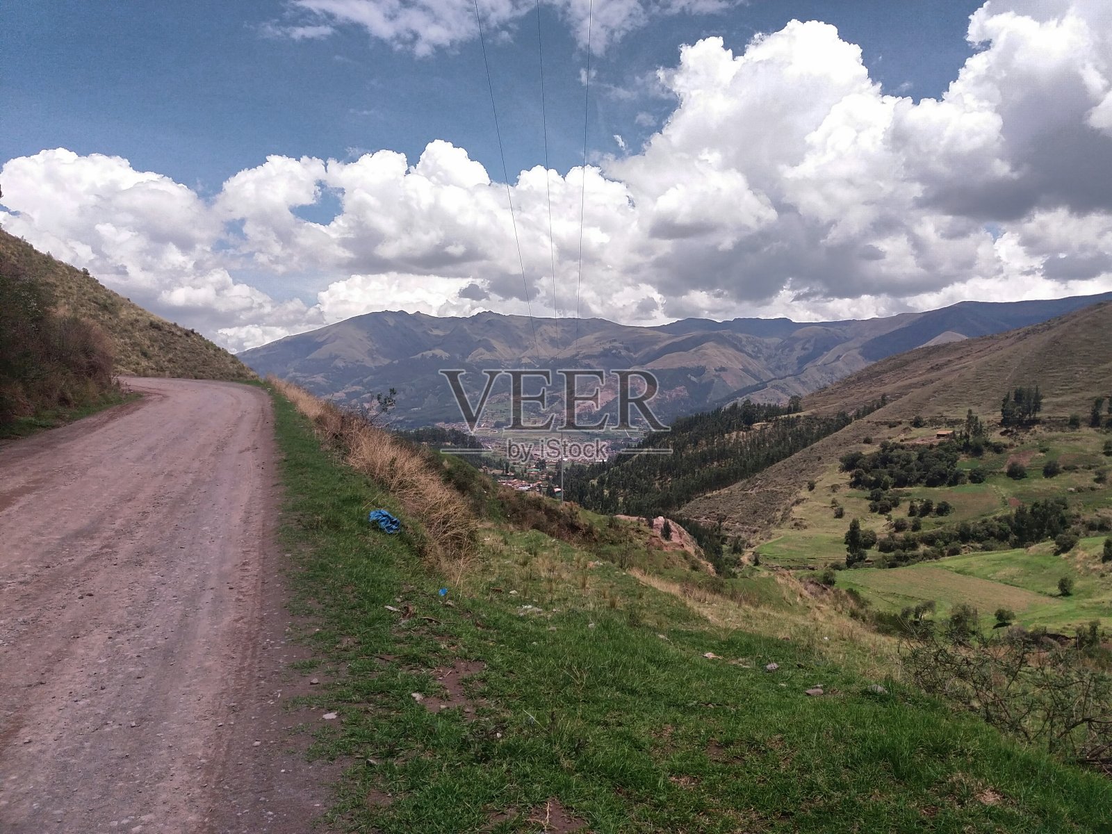 路旁边有草和树照片摄影图片