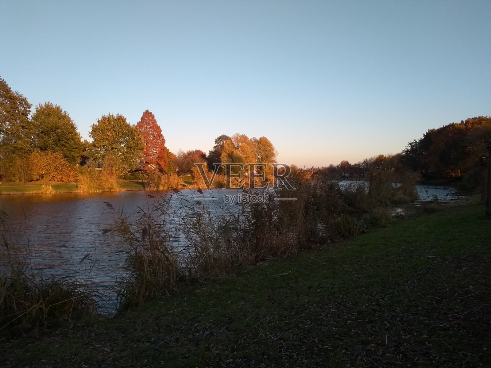 秋叶奇观湖公园景观呈桔黄色照片摄影图片