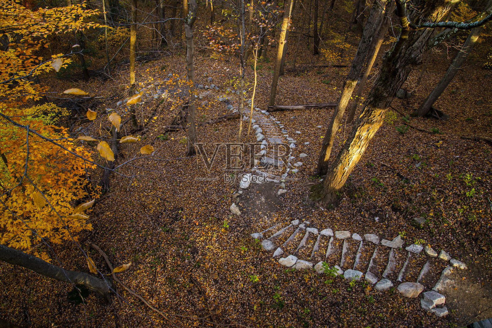 秋天的脚步照片摄影图片