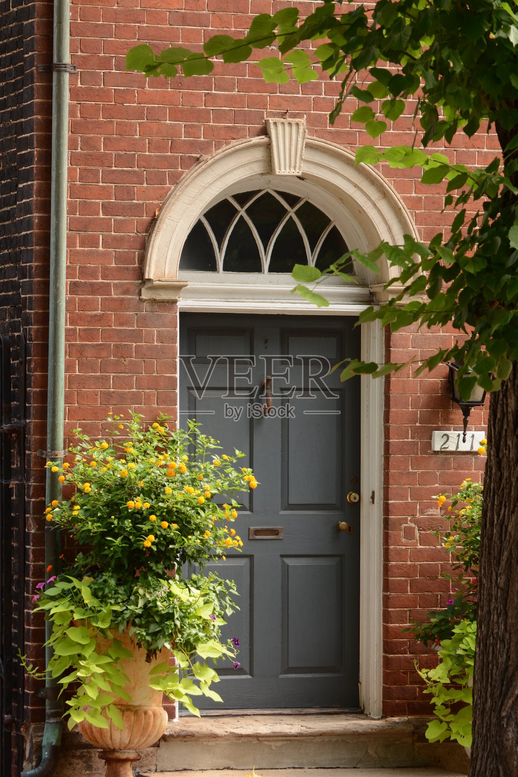 弗吉尼亚亚历山德拉夏季城市景色照片摄影图片