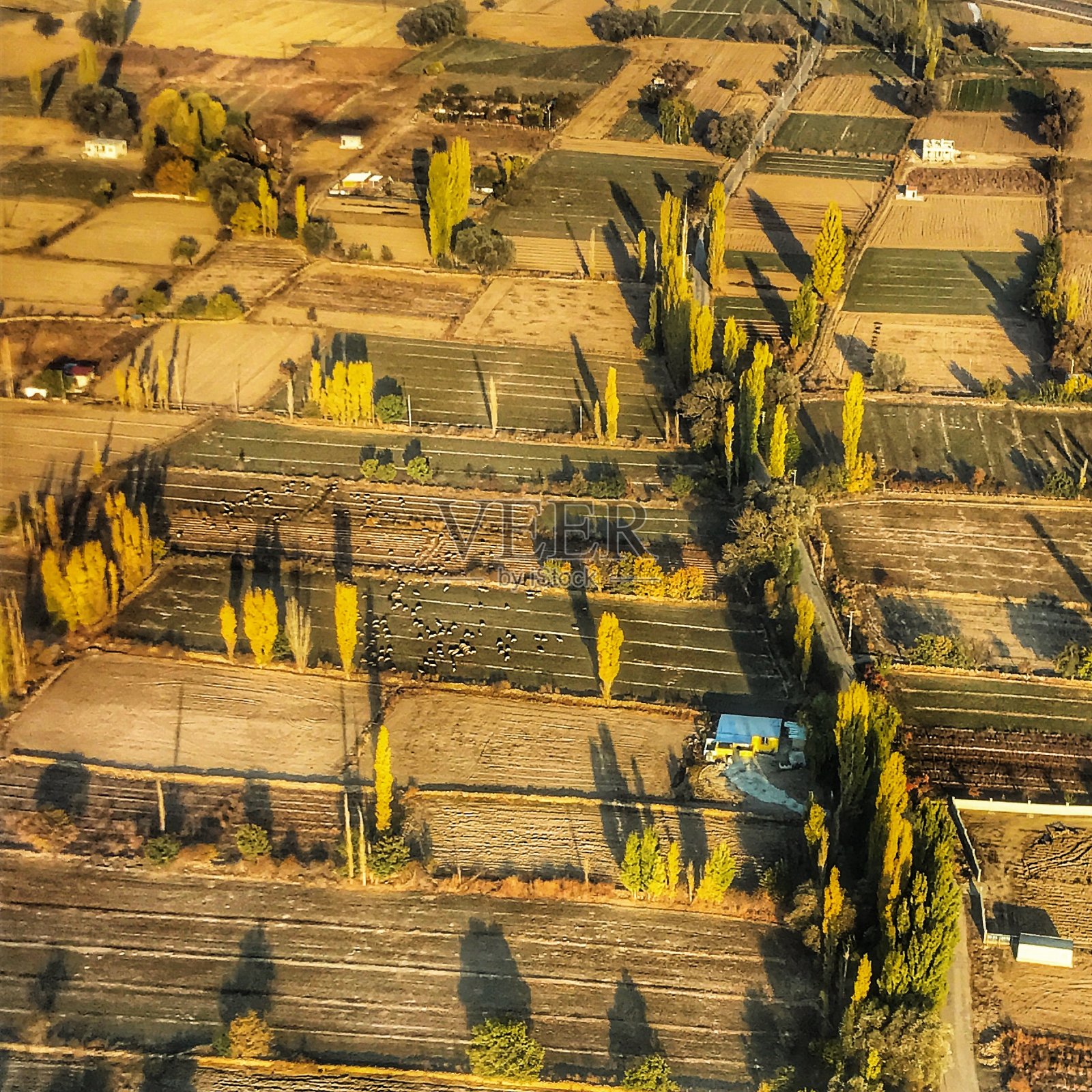 秋天照片摄影图片