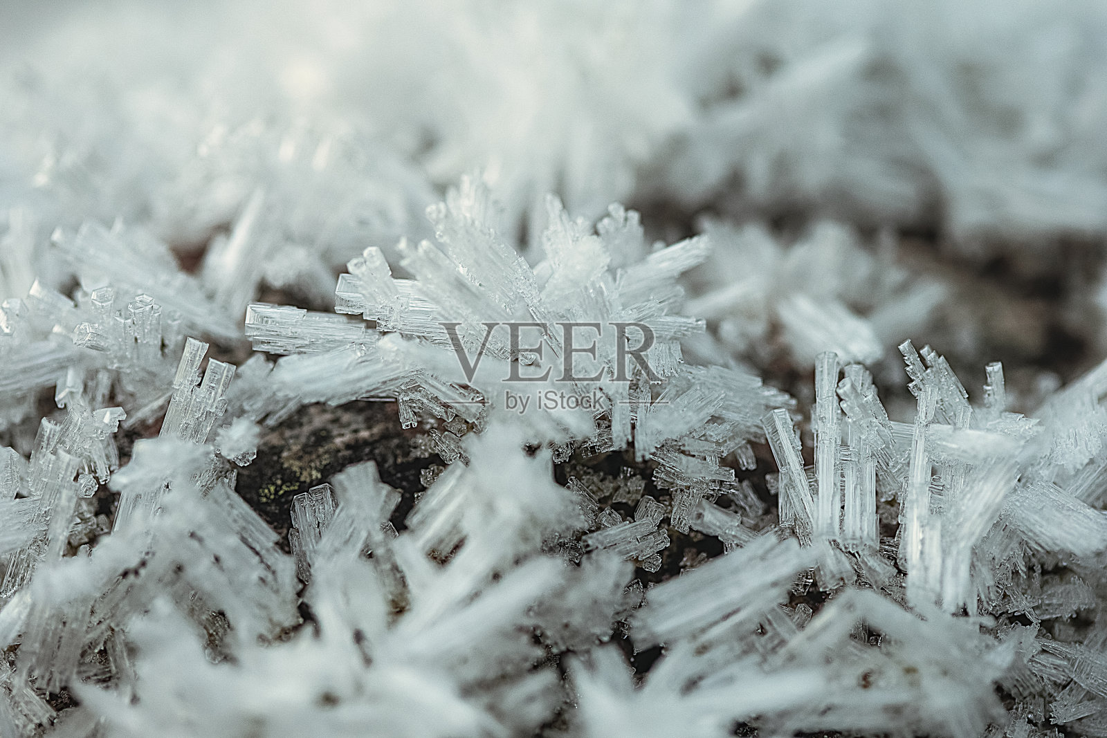 白霜。放大照相。照片摄影图片