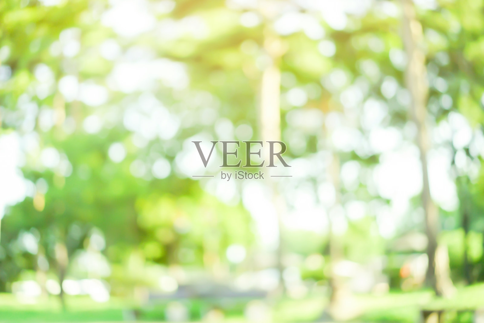 抽象模糊了国家公园户外秋季季节为背景的设计理念照片摄影图片