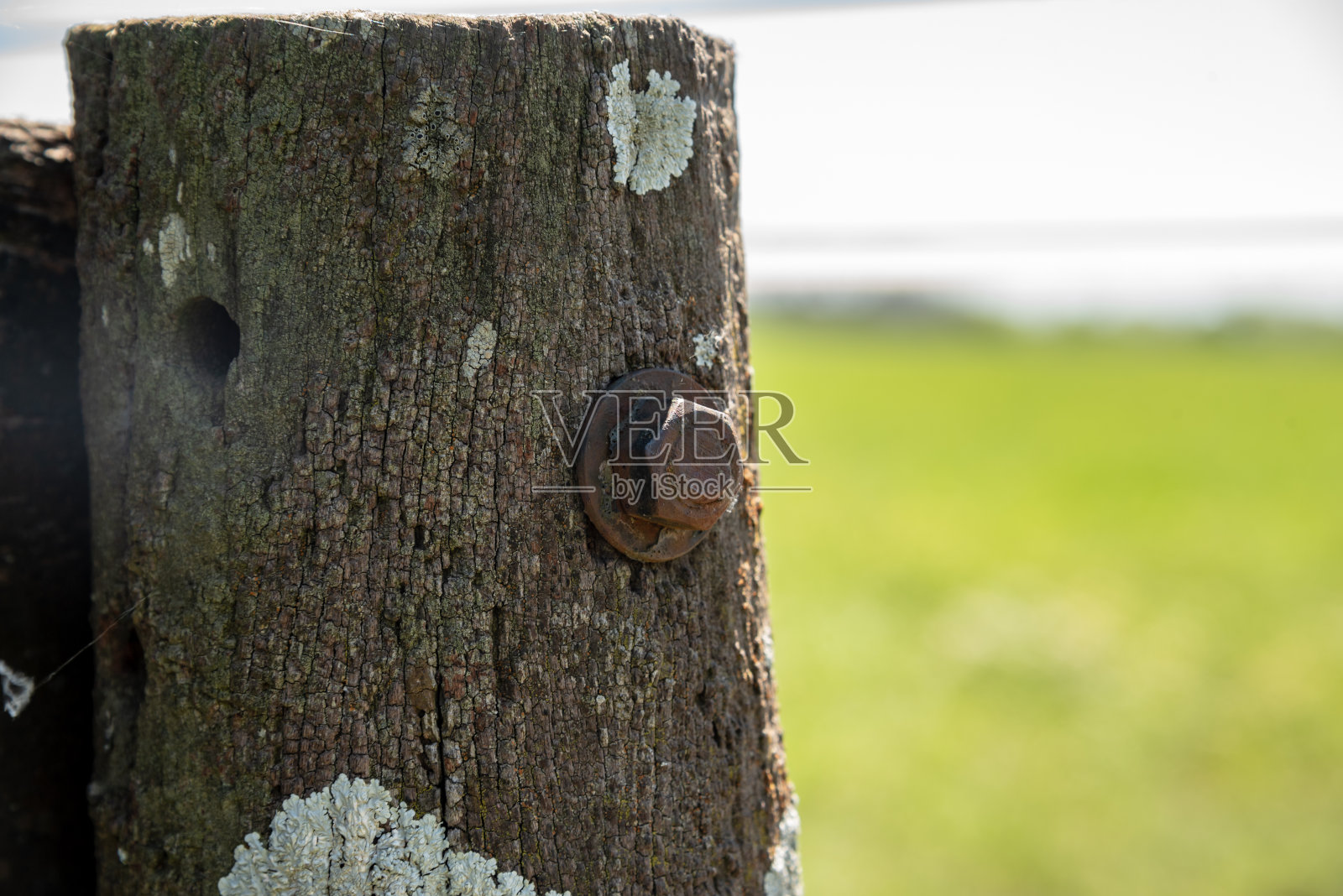锈迹斑斑的老螺丝上的老木头与莫霍和一个浅深的田野的乡村景观照片摄影图片