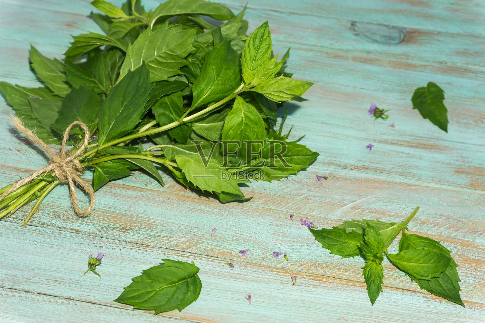 一束新鲜的薄荷放在木头背景上，俯视图，照片摄影图片
