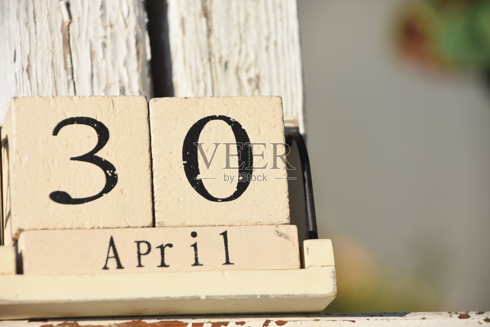 美国南方邦联纪念日照片摄影图片