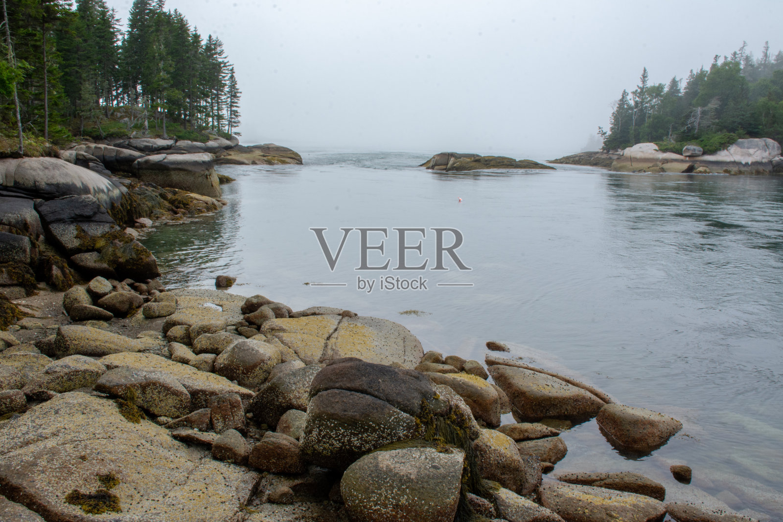 Vinalhaven盆地照片摄影图片