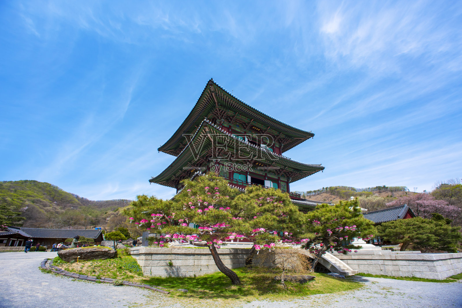 博塔普神庙VD700的大英雄照片摄影图片