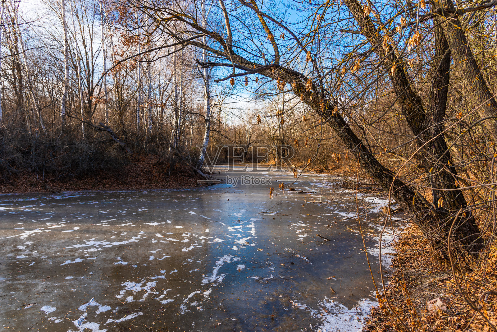 风景林地湖在一个阳光明媚的日子深秋照片摄影图片