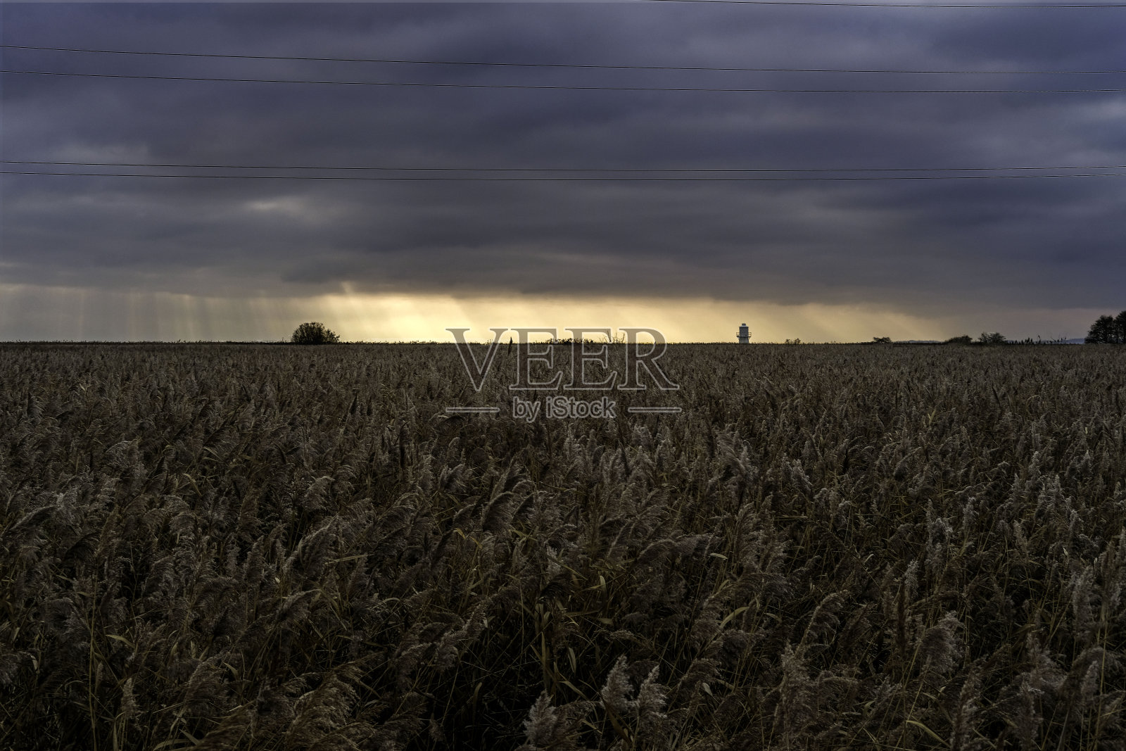 地平线照片摄影图片