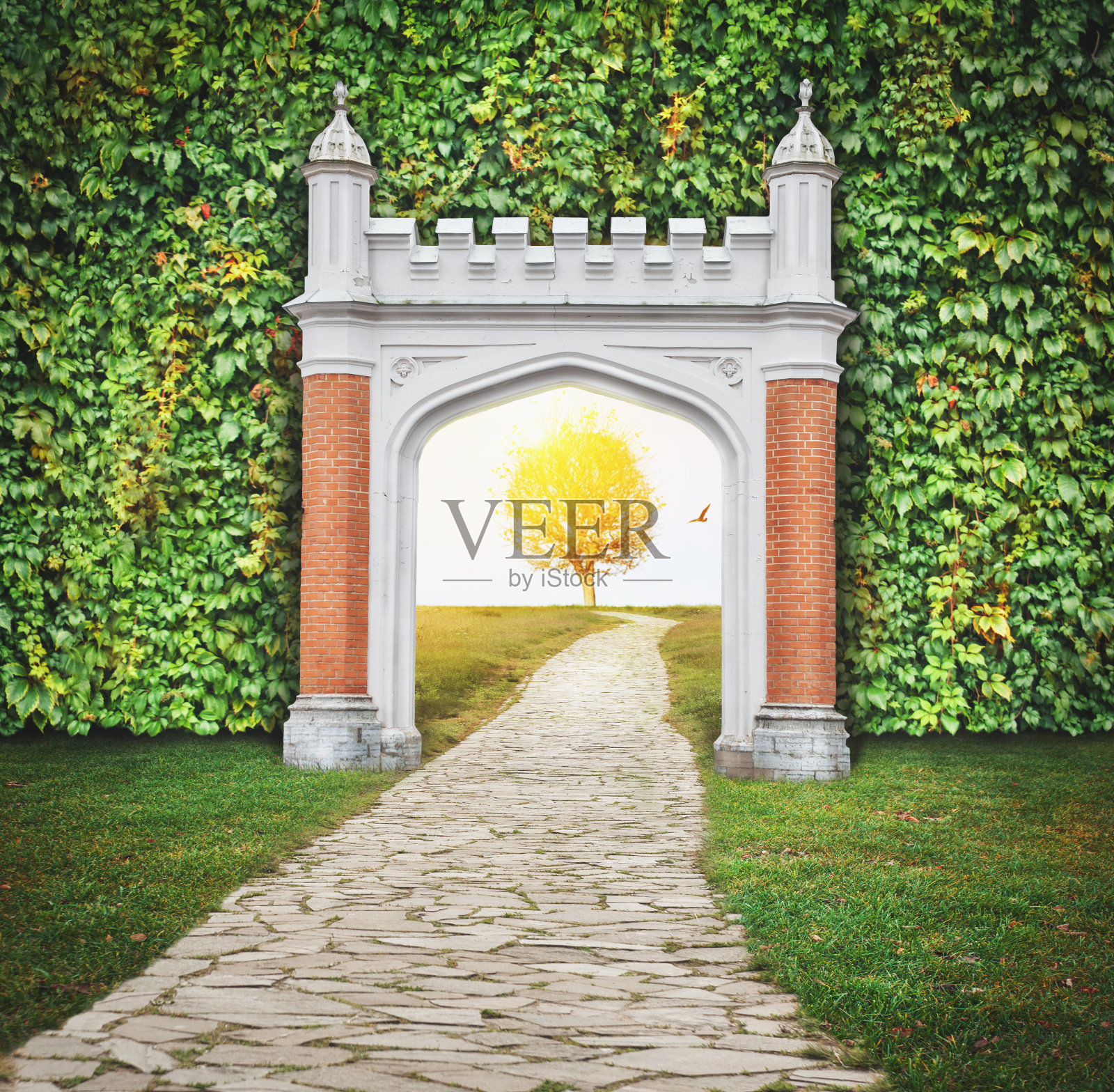 梦中的神秘大门入口。新生活或开始的概念照片摄影图片