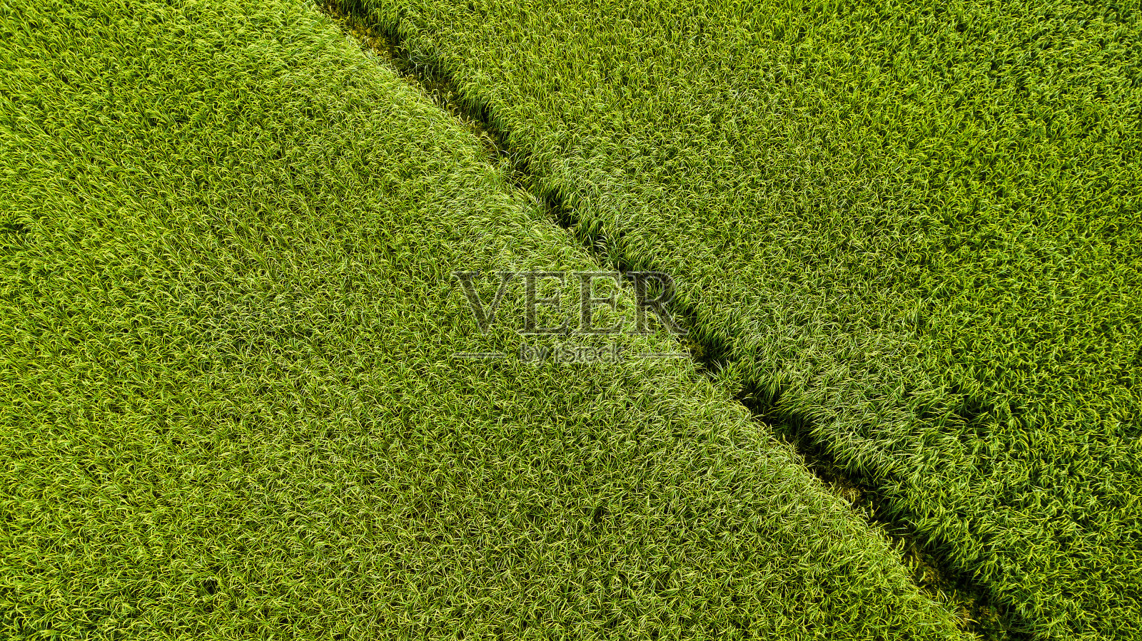 泰国的高角度视野。照片摄影图片