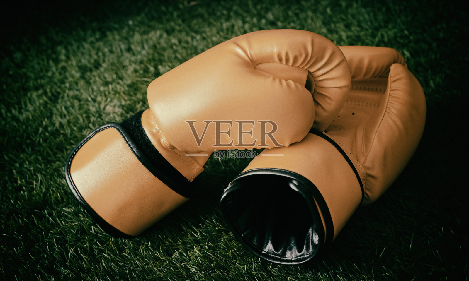 皮制拳击手套的抽象艺术设计背景放在绿草底层，四周光线模糊照片摄影图片