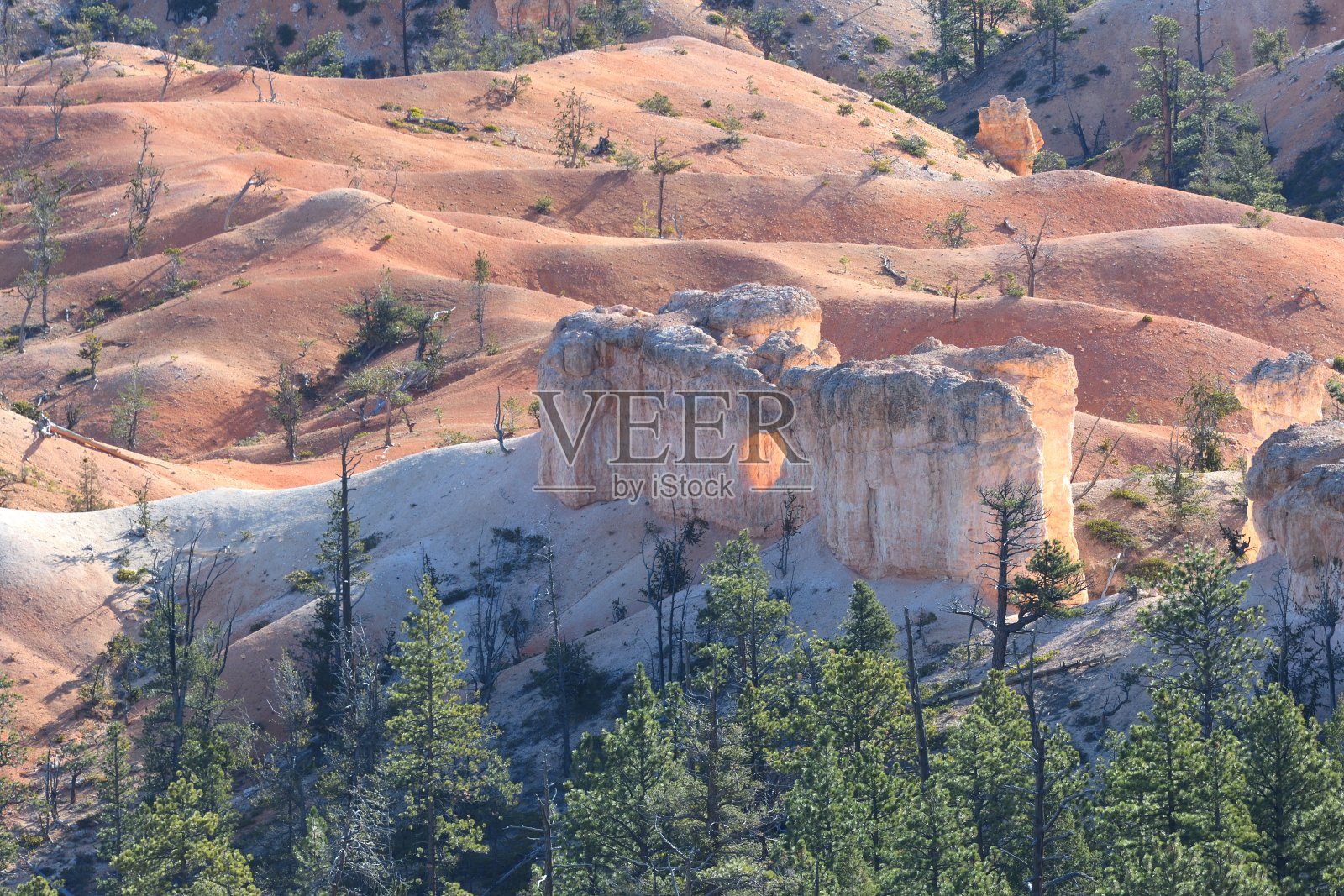 美国犹他州布莱斯峡谷国家公园照片摄影图片