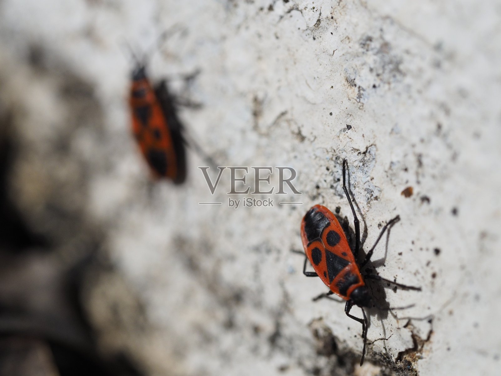 登山者照片摄影图片