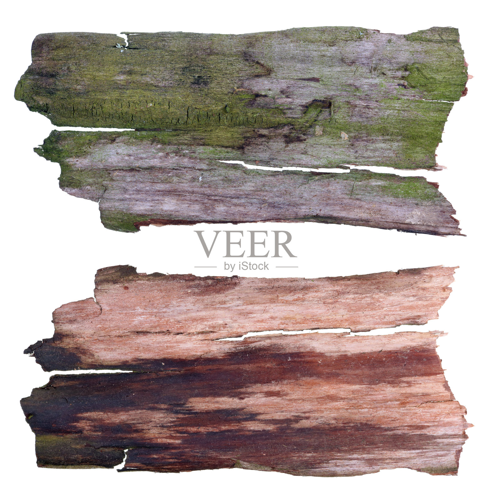 一棵橡树树干的碎片，以信息横幅的形式——从两边看照片摄影图片