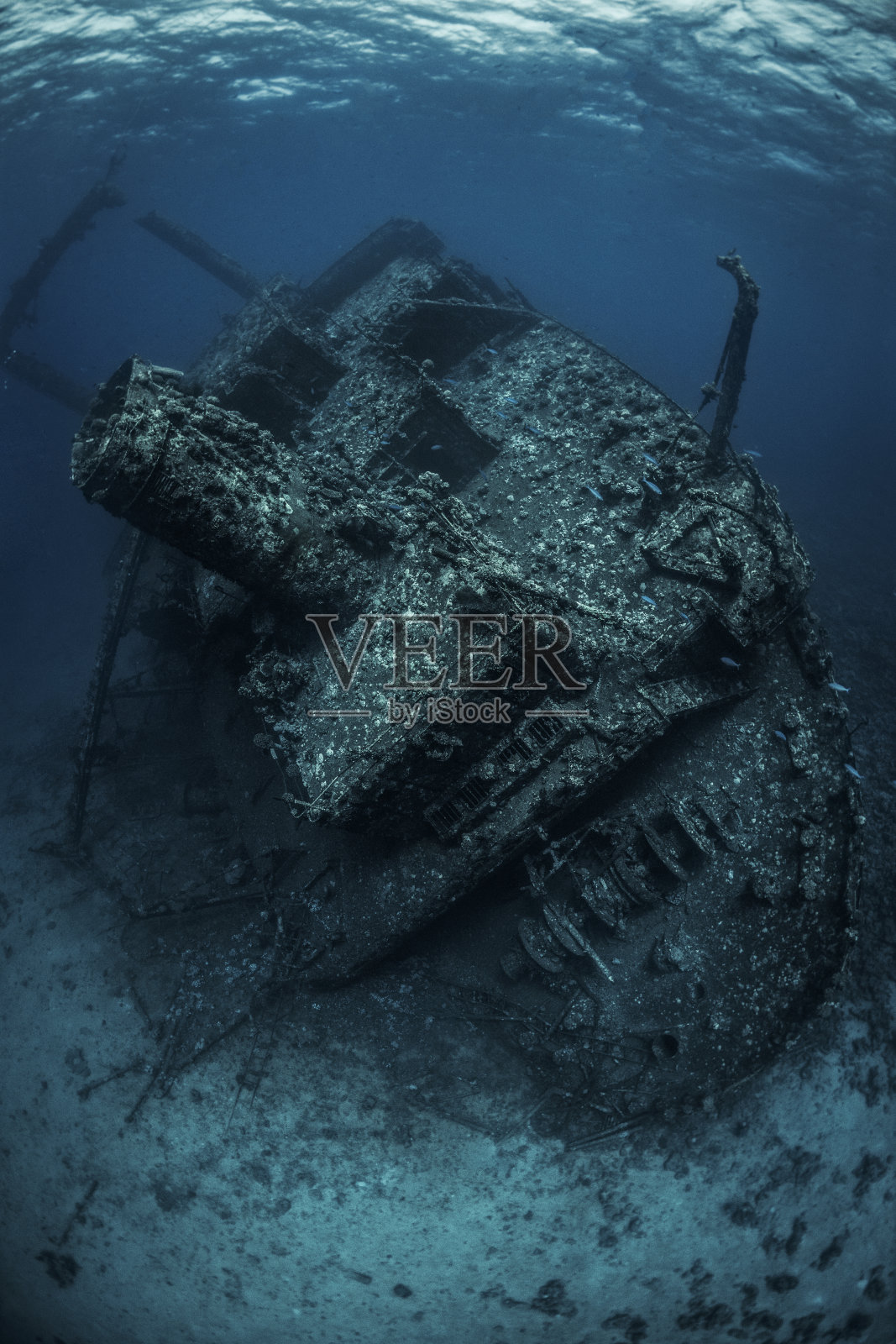 红海底部的大型水下沉船照片摄影图片