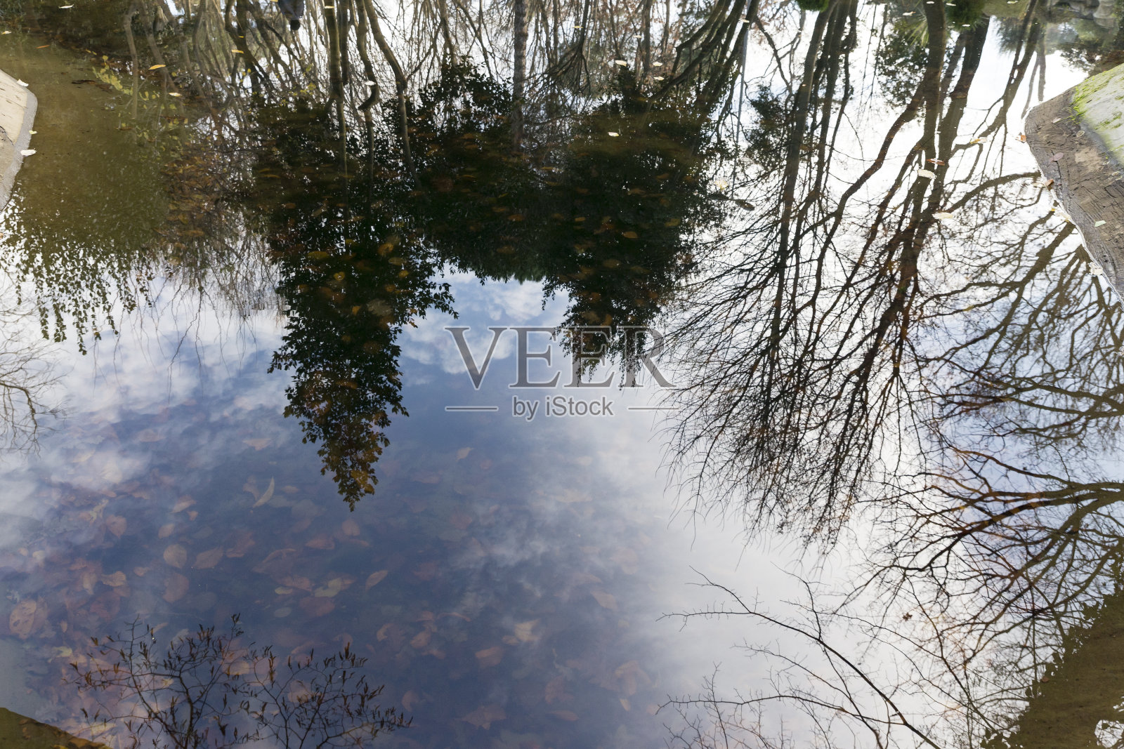 水中，树叶，天空，树木的倒影照片摄影图片