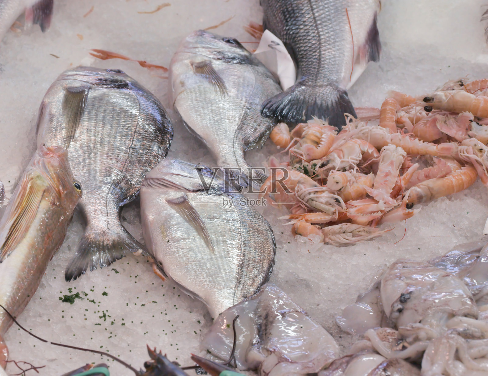 市场上的彩鱼照片摄影图片