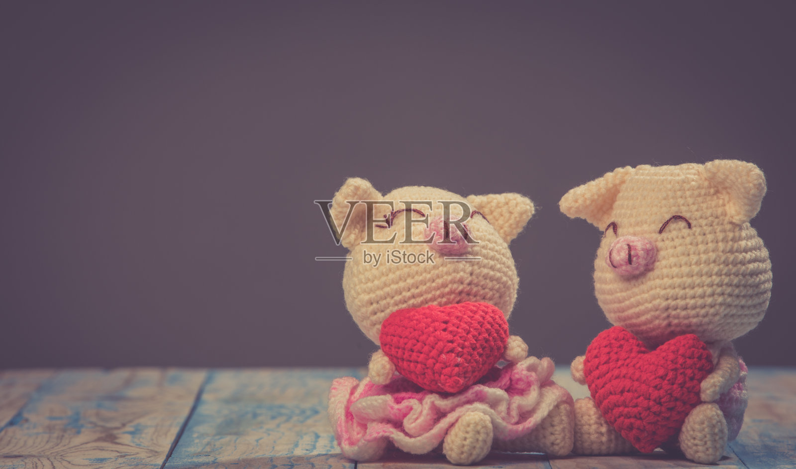 一对猪娃娃在桌子上，情人节背景照片摄影图片