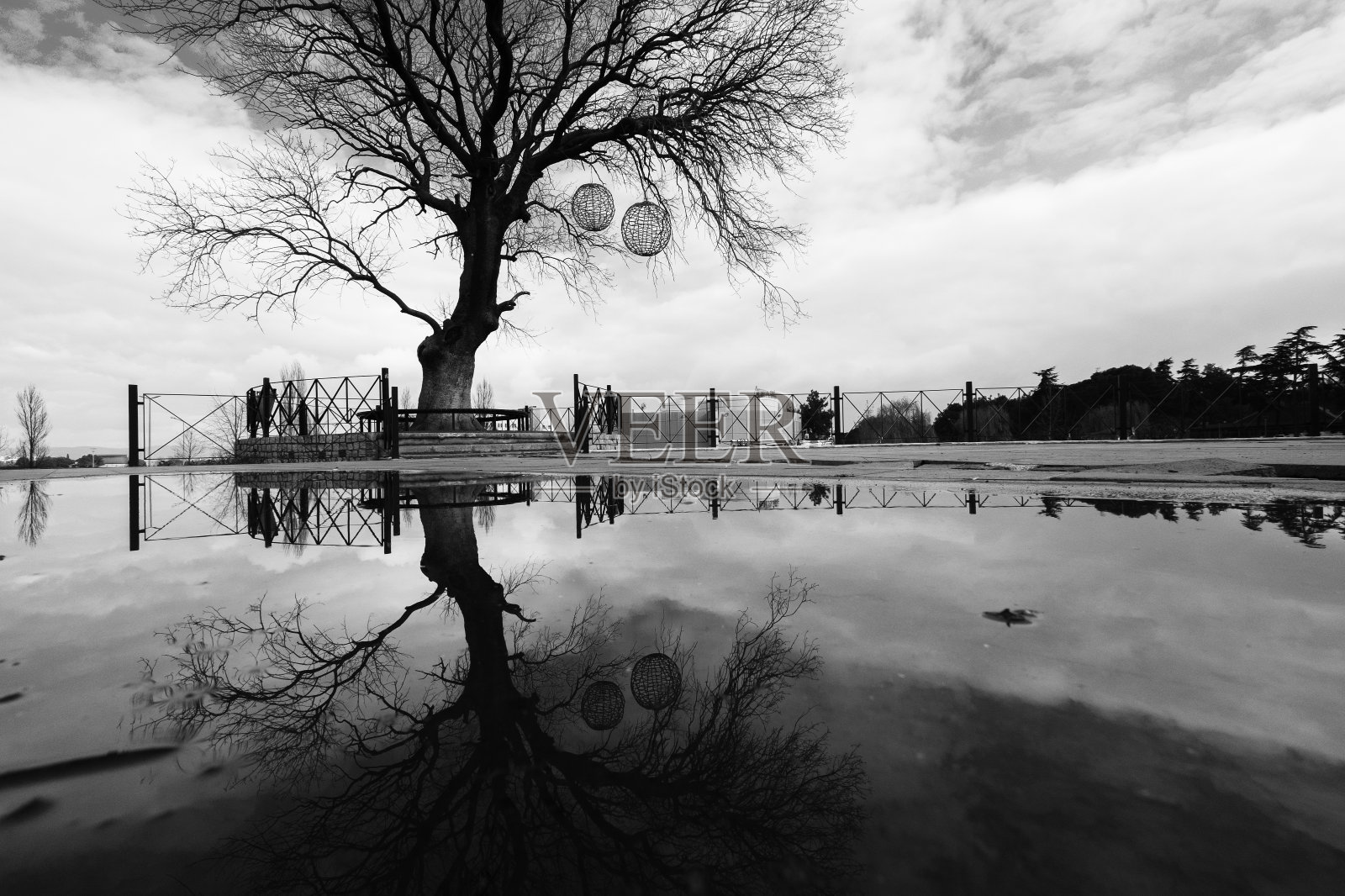 孤独的树在水中反射长时间的曝露照片摄影图片