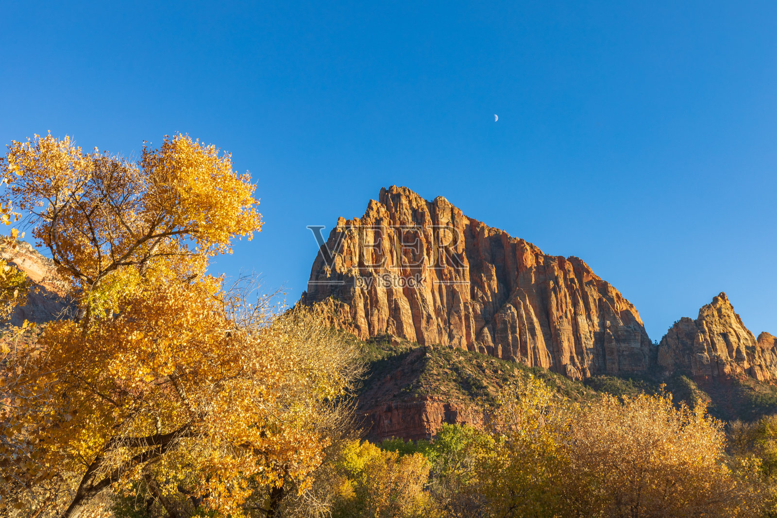 锡安秋景照片摄影图片