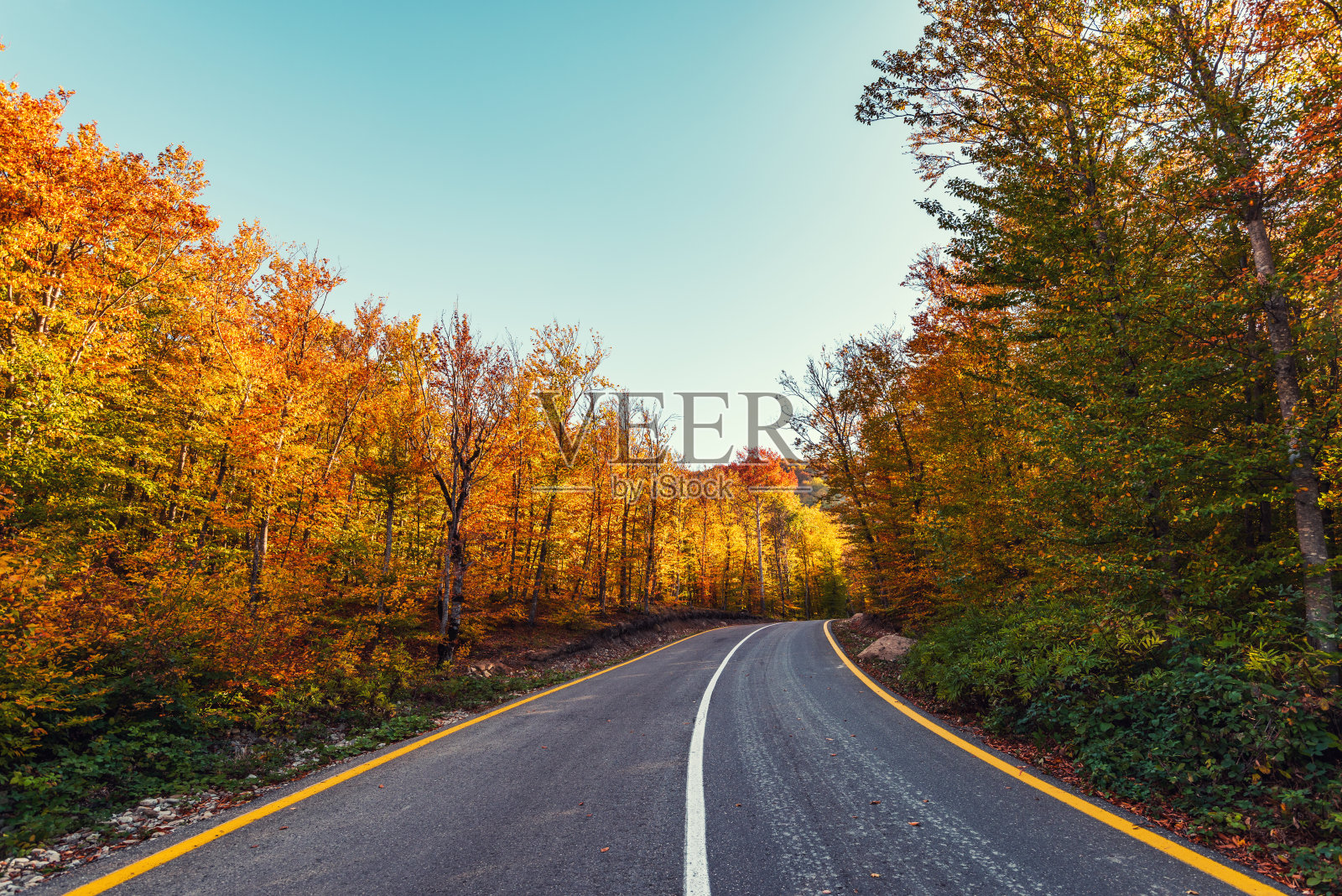 蜿蜒的小路在五彩缤纷的秋日山林中照片摄影图片
