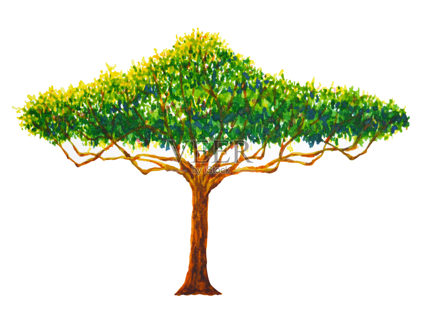 树水彩画插画设计手绘插画图片素材