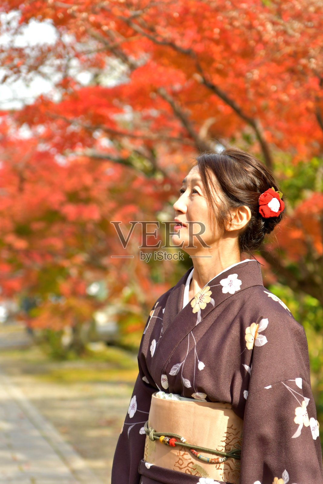 穿着和服的日本妇女在京都欣赏彩色的枫树照片摄影图片