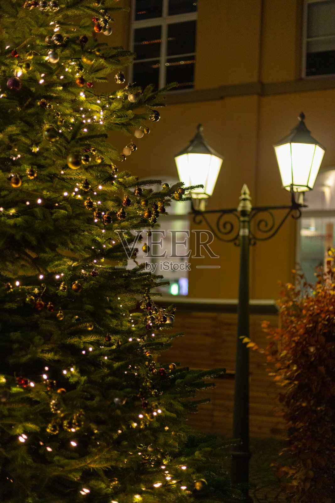 圣诞树灯在市场在圣诞节12月照片摄影图片